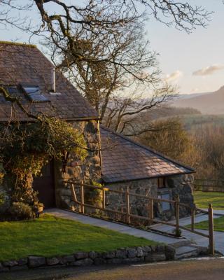 Cyffdy Cottage - Tegid