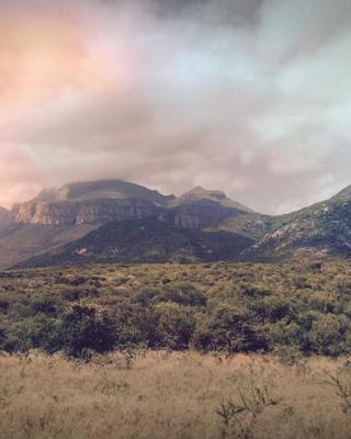 Moholoholo Mountain View