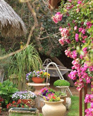 Idan Lodge in the Arava