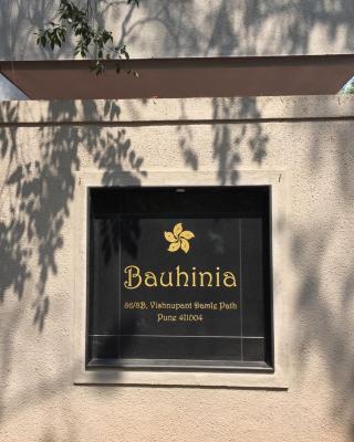 Bauhinia