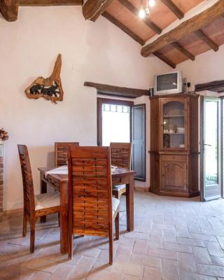 La casina degli olivi