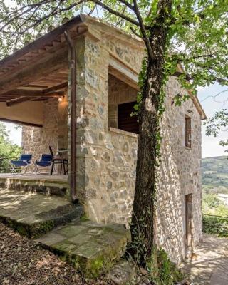 La villa della quercia