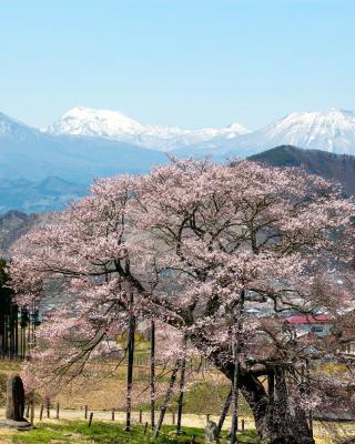 蕨温泉 旅館 わらび野 