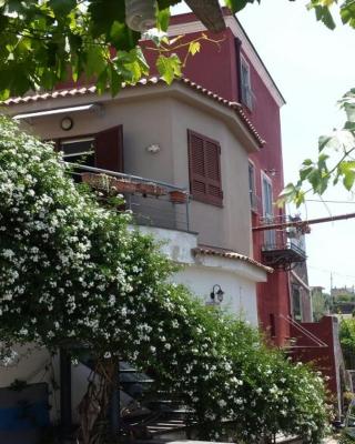 Bed & Breakfast Fuocomuorto