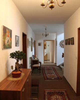 Hotel Humboldt