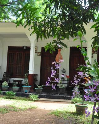 sigiriya flower guest