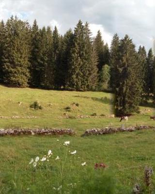 La Dernier (La cote-aux-fées) Suisse