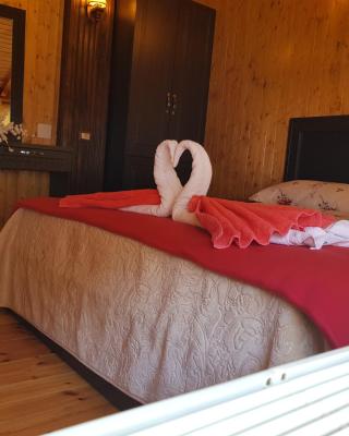 Hotel Vataksi