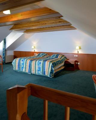 Hotel Dvorak