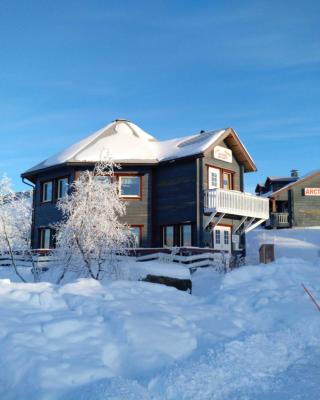 Arctic Polar Holiday Village