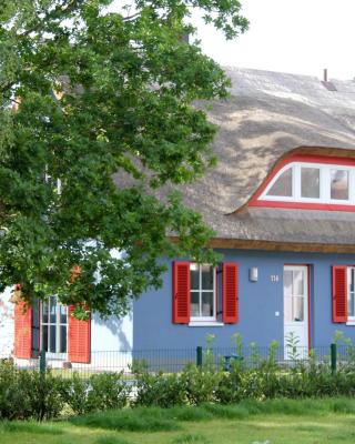 Strandhaus Lucky, Sauna, Garten, Kamin, strandnah, Ladestation e-Autos