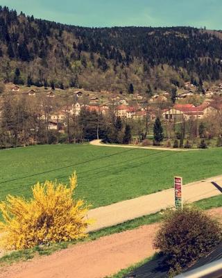 chalet vosgien