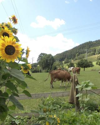 Urlaub auf dem Hänslehof