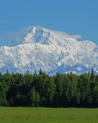 McKinley View B&B