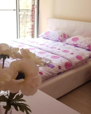 Lux Apartment Vidovic