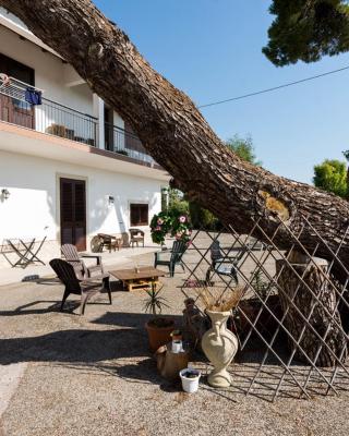 B&B Villa Pia