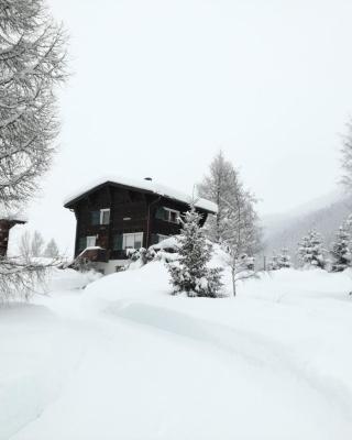 Chalet Bosbes