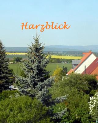 Ferienhaus "Harzblick"
