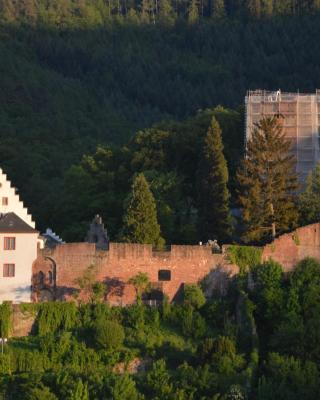 Panorama-Blick Miltenberg, 3 Pers., zentr., am Main, Terrasse, Bootverleih, P