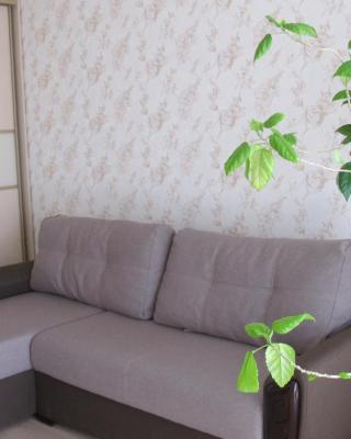 Apartment "Ostrova"