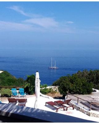 Il Cigno Affittacamere Bed & Breakfast