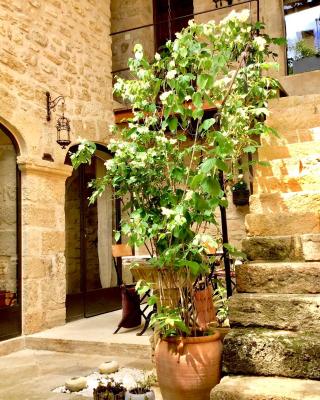 Un Patio en Luberon