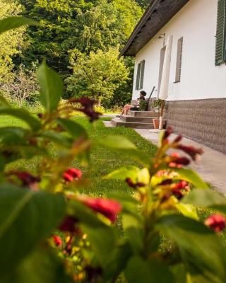 Ferienhaus Vogeljager