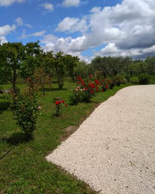 Casa Vacanze Le Rose