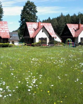 APARTMÁNY SLAVIE/SEGA TROJANOVICE