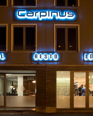Hotel Carpinus