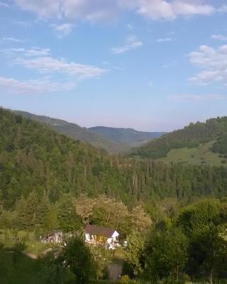 Casa cu Muscate