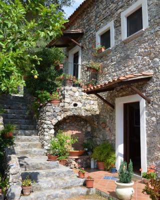 Agrestis Domus