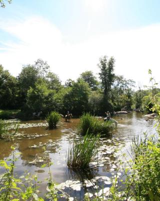 Logis de l'Aubonnière