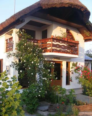Casa Nicu Murighiol