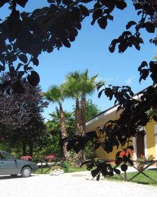 B & B OASI