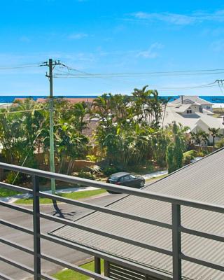 Pandanus - Lennox Head