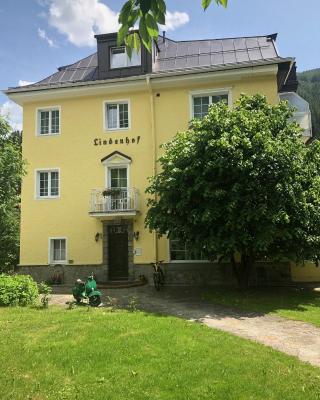 Hotel Lindenhof