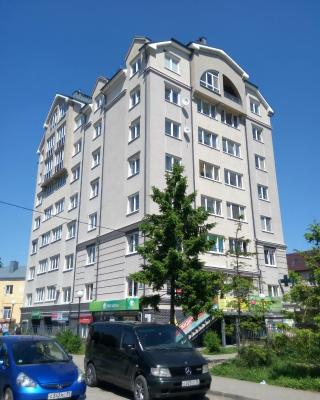 Apartment On Vokzalnaya 4