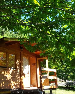 Camping Camaldoli