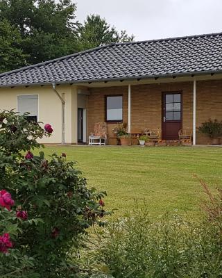Ferienwohnung Hof Theensen