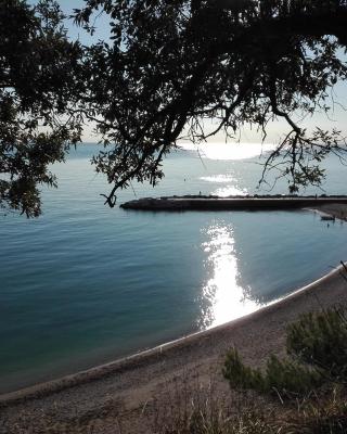 Affittacamere Villa Zelinda