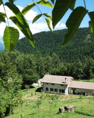 Bosco delle Rune ..un angolo di paradiso