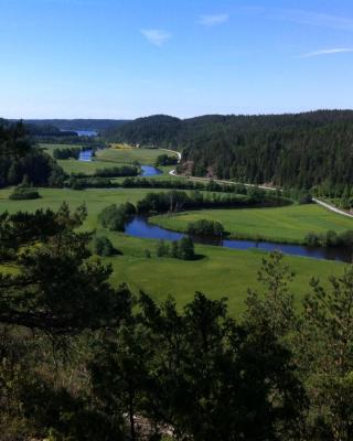 KynnefjällsNatur