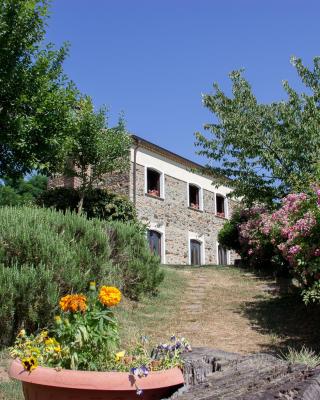 La Rosa Nel Bicchiere