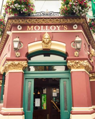 Molloys Apartments