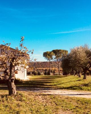 Le Terre D'Abruzzo