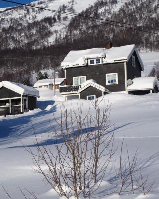 Apartment between Ustaoset and Geilo