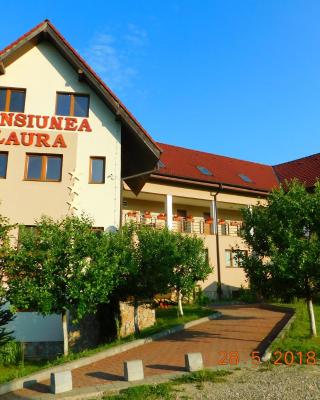 Pension Laura Cheile Turzii