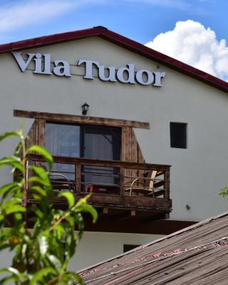 Vila Tudor Mamaia Nord