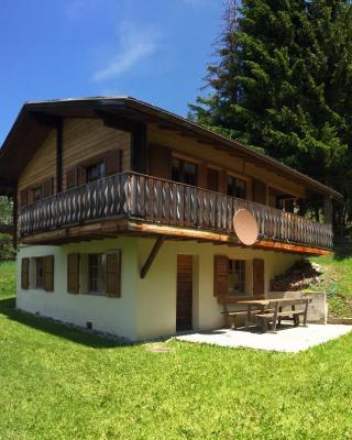 Chalet Gärlich